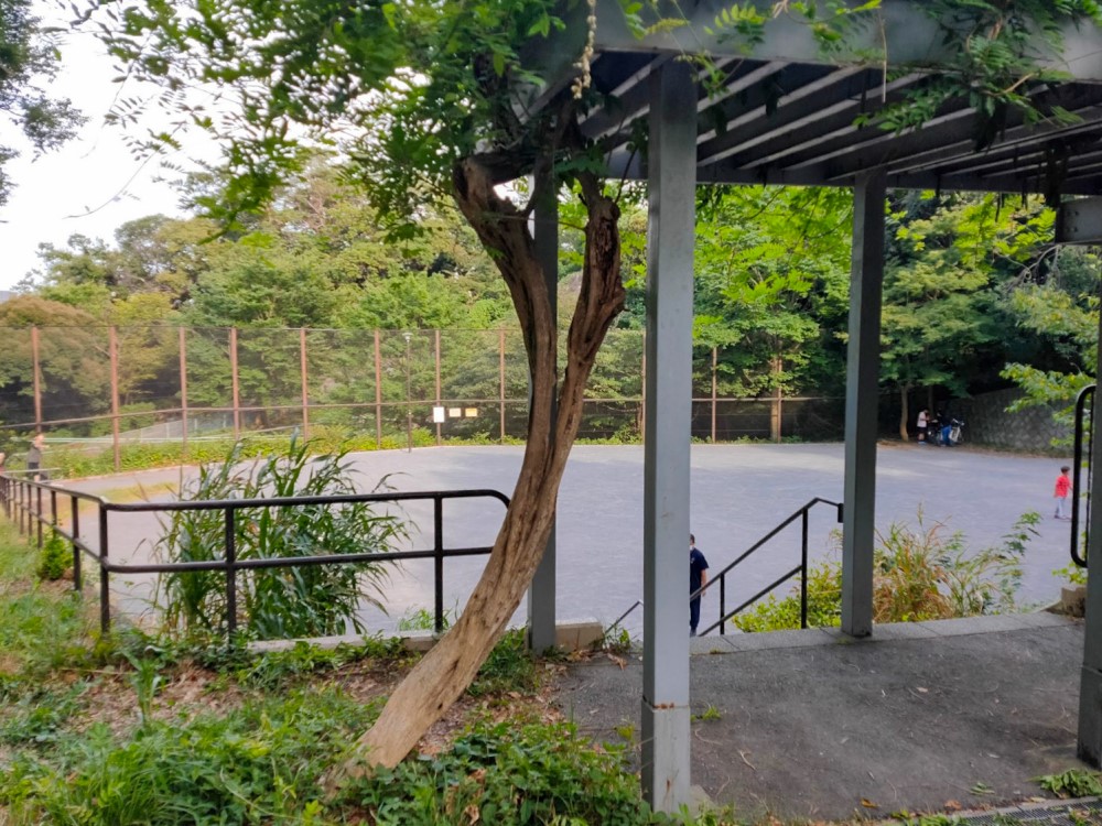 弘明寺公園内のグラウンド画像